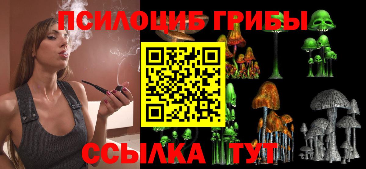Псилоцибиновые грибы мицелий Шелехов