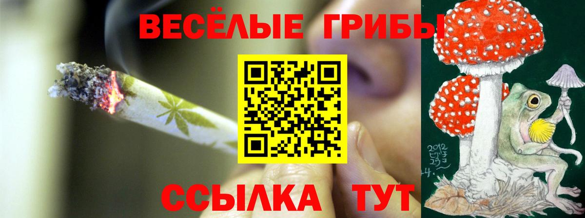 Шелехов  Галлюциногенные грибы Psilocybine cubensis  Вход с VPN 